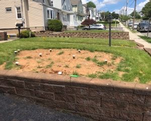Site Investigations